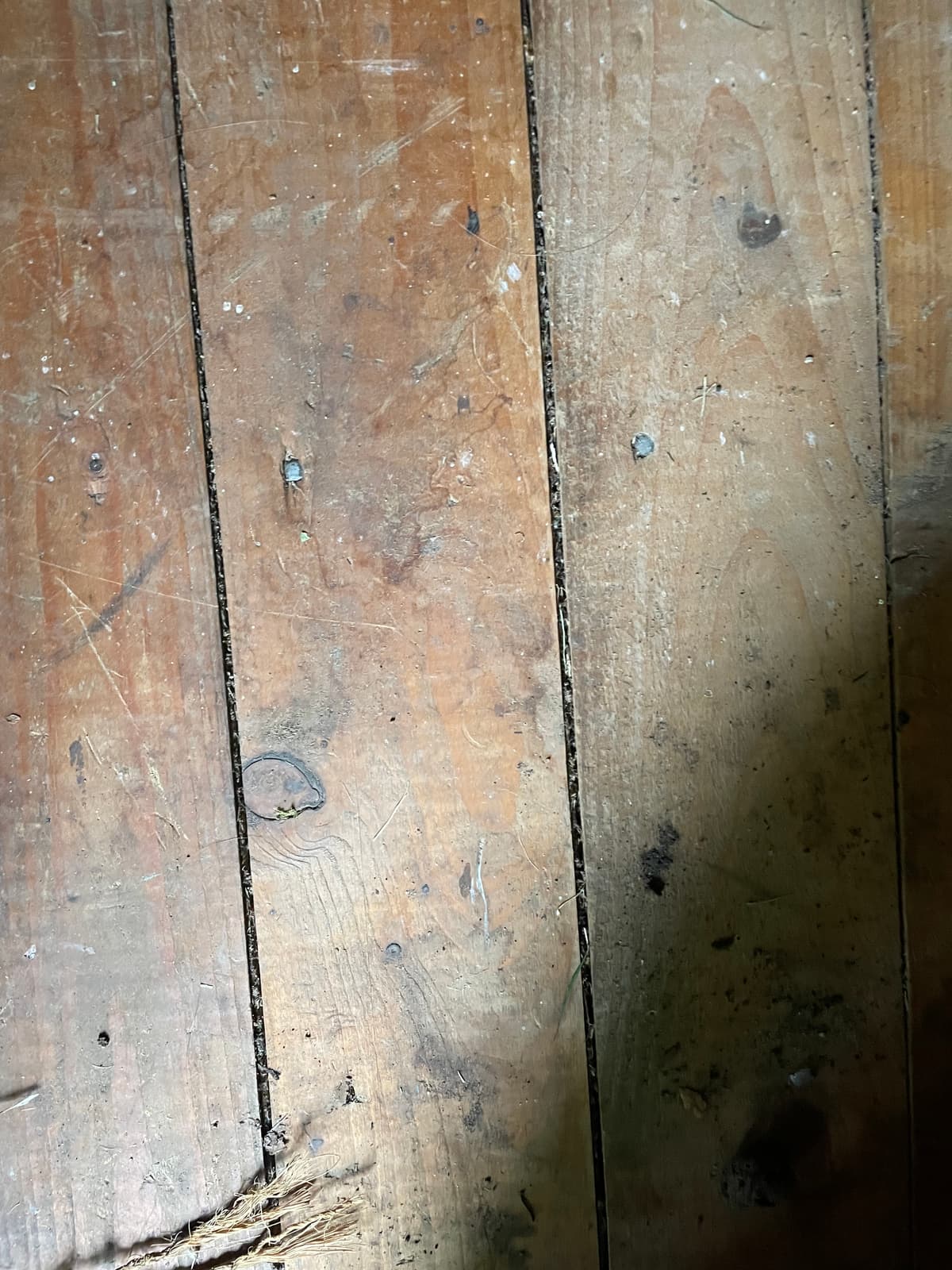 Kundens foto 3 – bygg i Karl Gustav