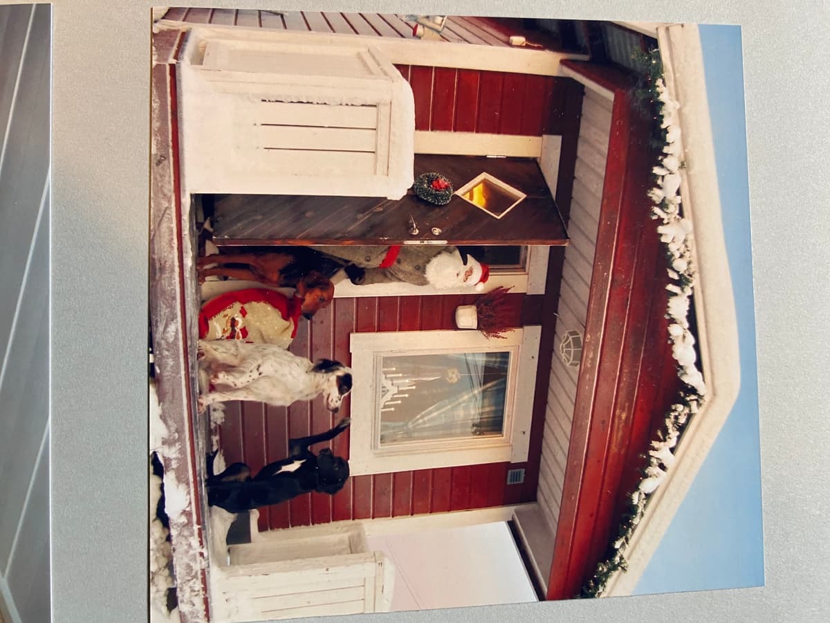 Kundens foto 1 – tak i Norsjö
